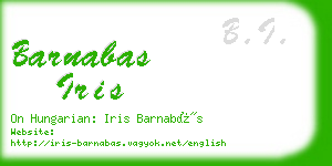 barnabas iris business card